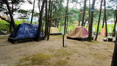 家族で初キャンプ！「浜木綿村」の常設テントに1泊してみた